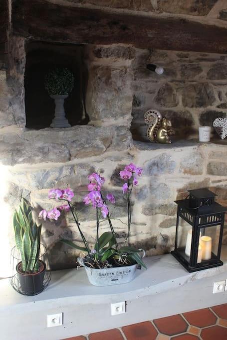 Casa de Férias La Colline Aux Ecureuils Irvillac